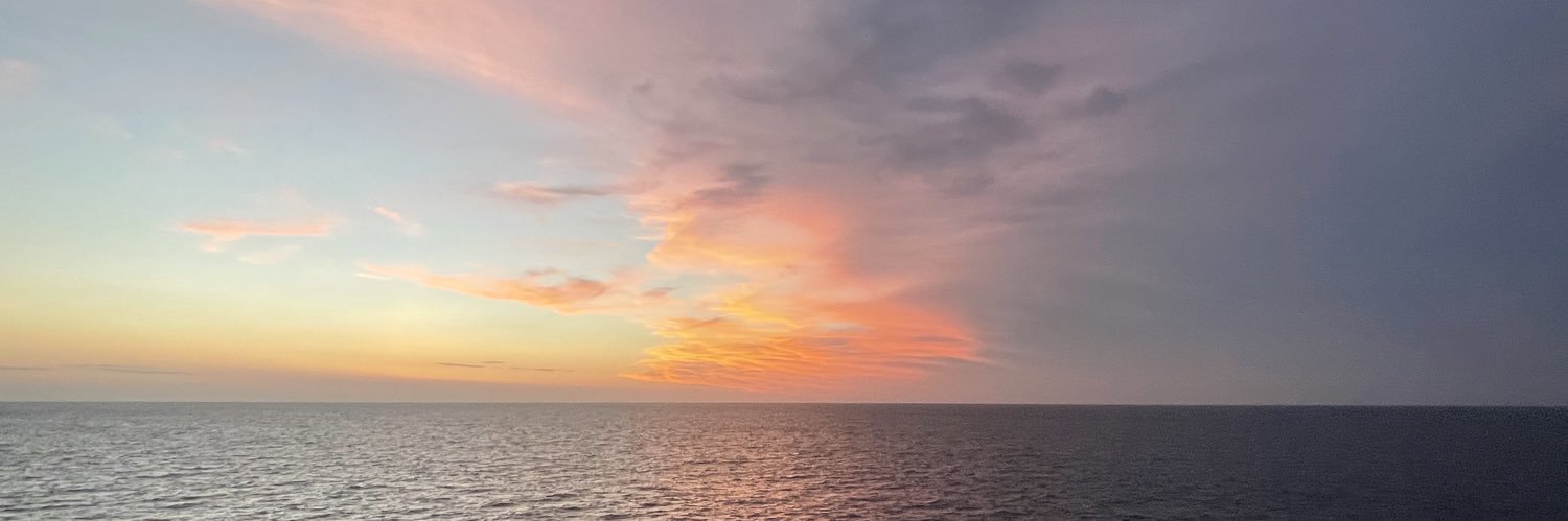Robopine16's profile banner image