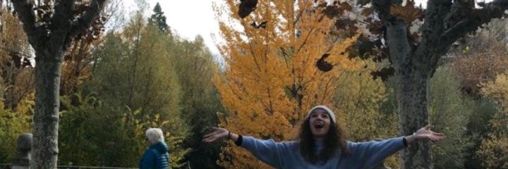 cris3991's profile banner image