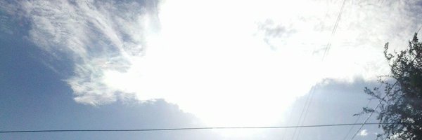 859_Lyss Profile Banner