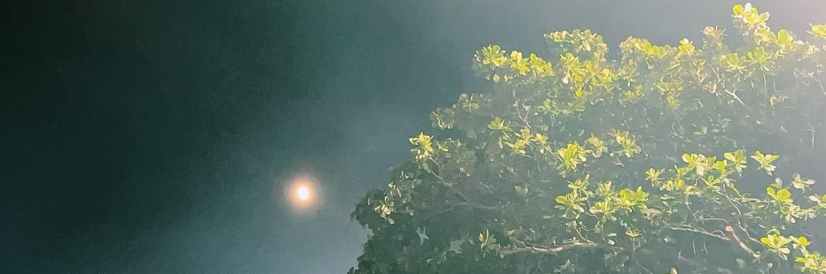 grtxma's profile banner image