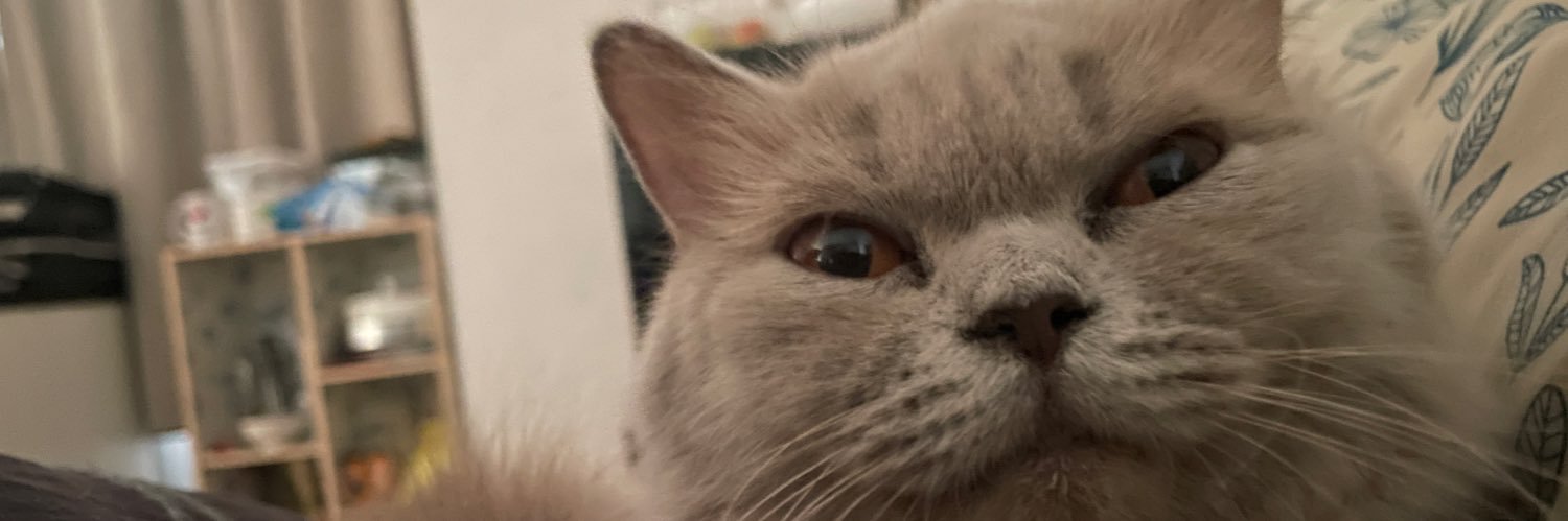 szastr's profile banner image