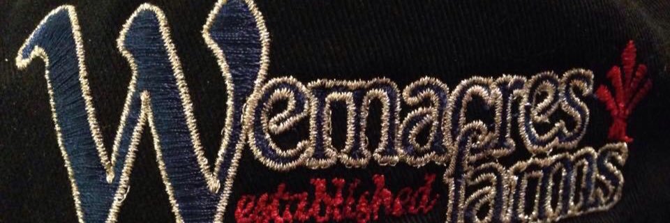 mary_reints's profile banner image