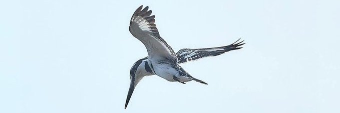 Ismail Waiswa banner