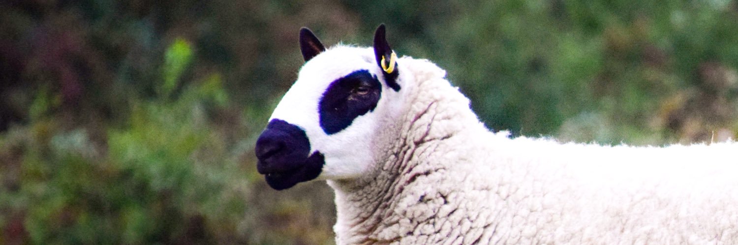FarmingFran's profile banner image