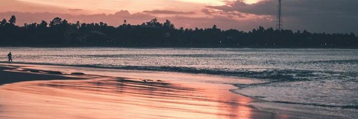BNF_tasya's profile banner image