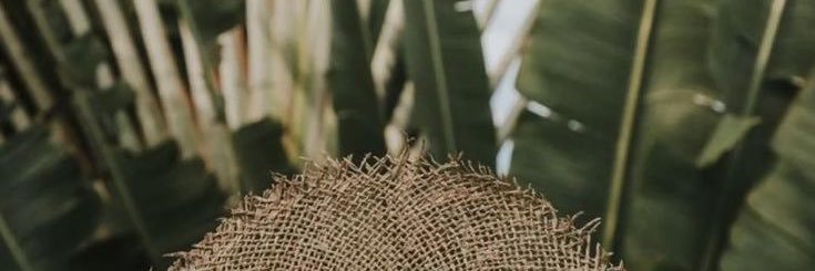 ellenyan2's profile banner image