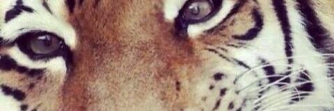 anae_7's profile banner image
