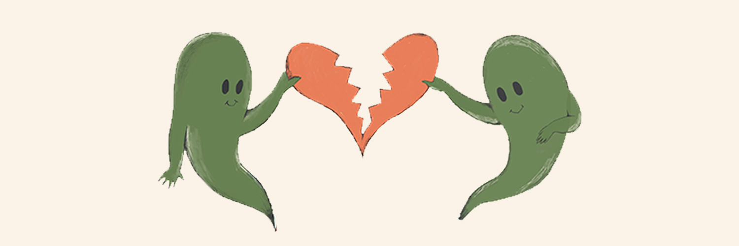 David Vertesi banner