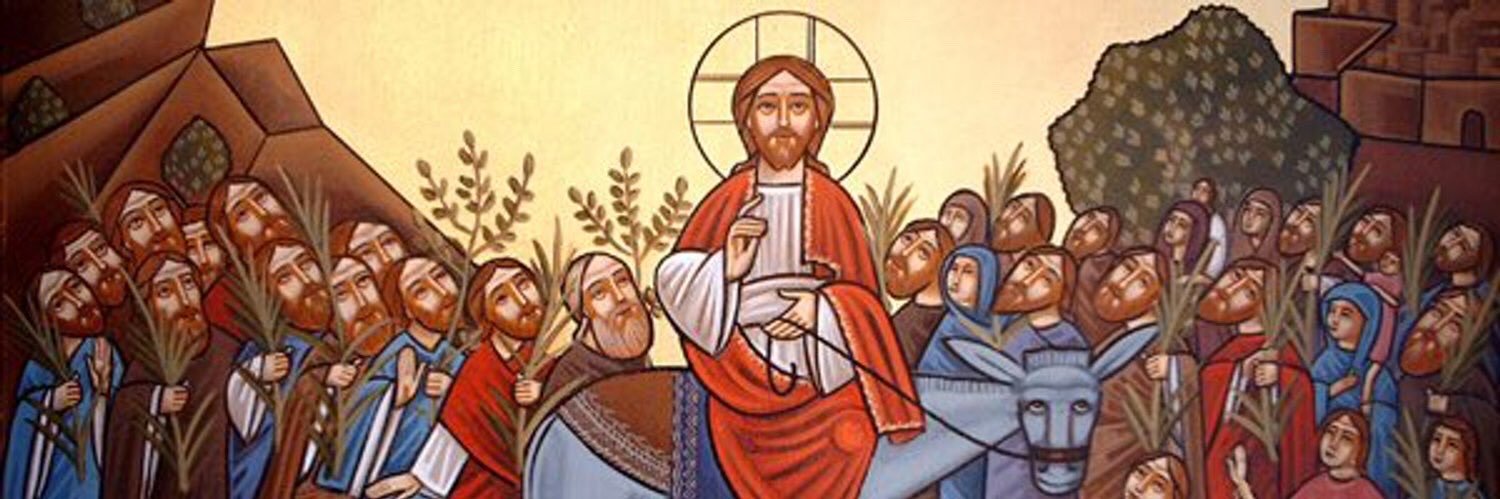PaulCollander's profile banner image