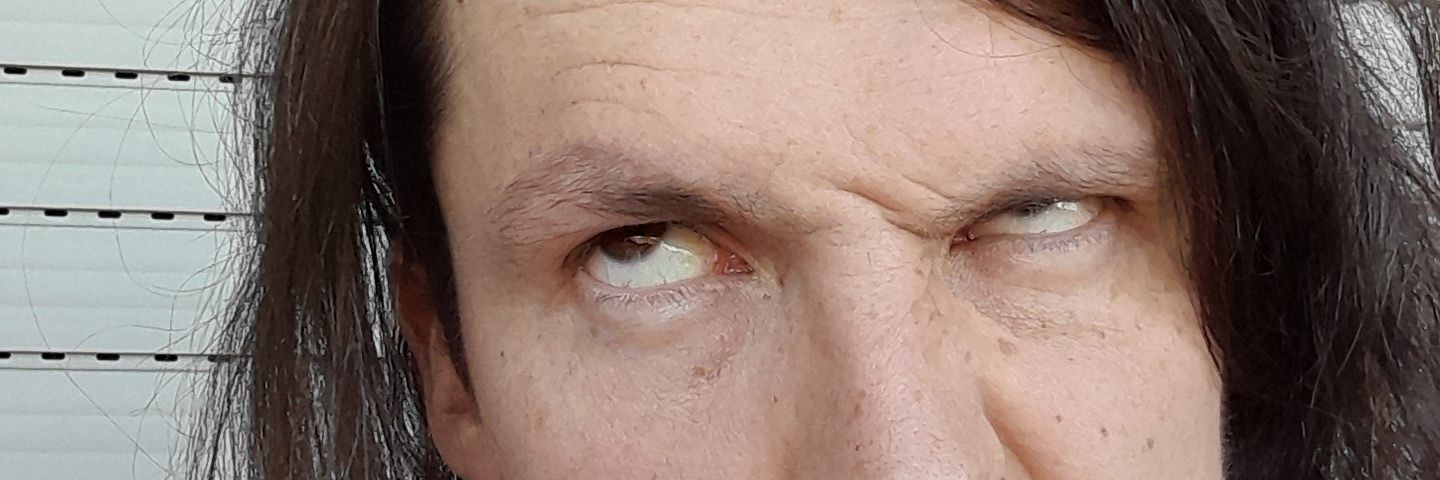 datlemke's profile banner image