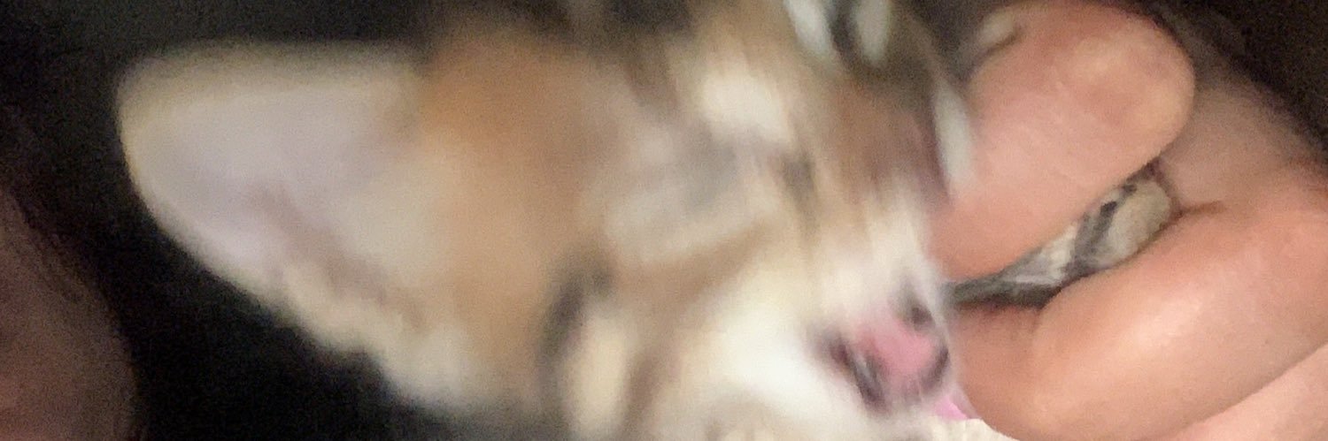 aticezul's profile banner image