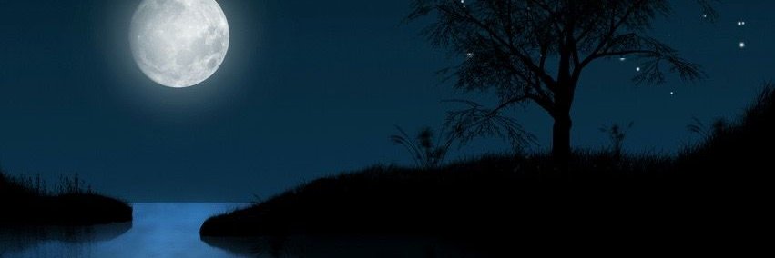 0x14c14's profile banner image