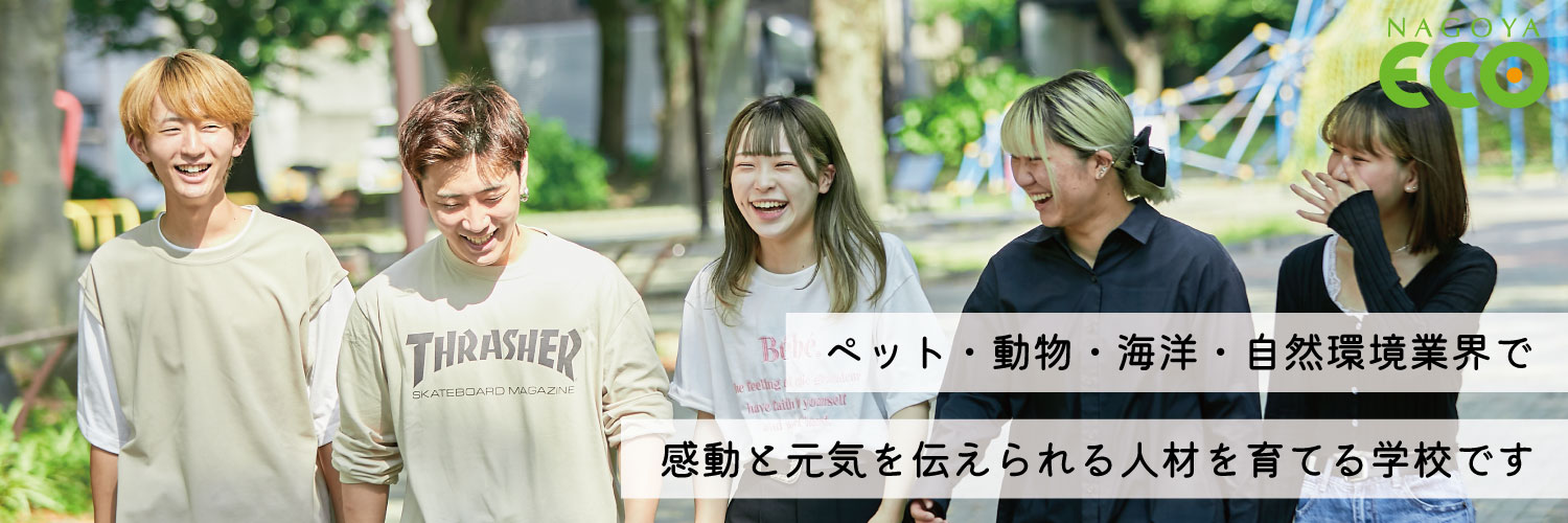 NCA_ECO's profile banner image