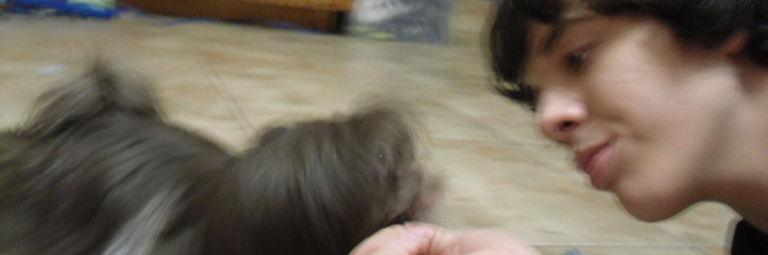 DropDeadDavid's profile banner image