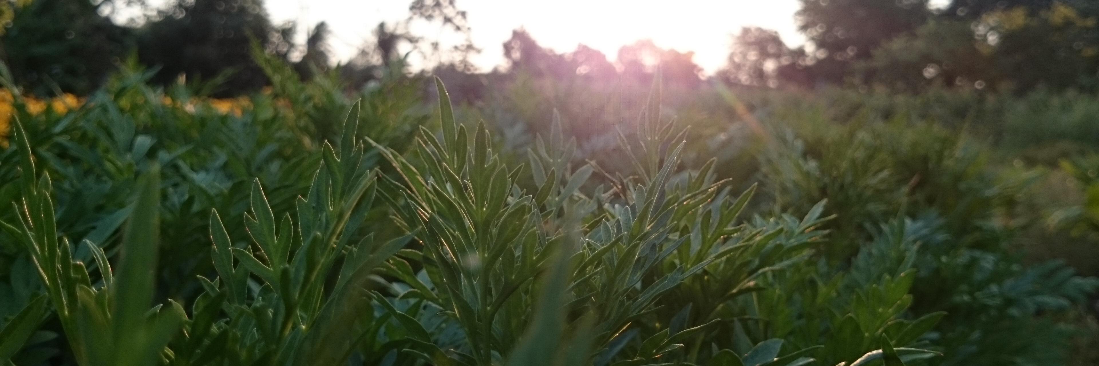 dieplt's profile banner image