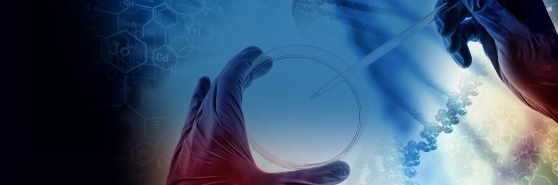 BioInfoInc's profile banner image