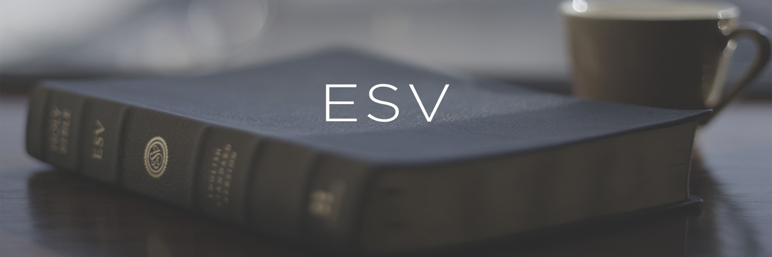 ESVBible_'s profile banner image