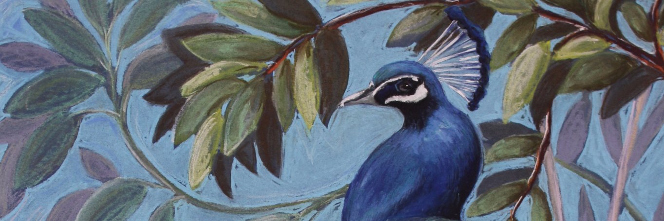 MackayAilsa's profile banner image