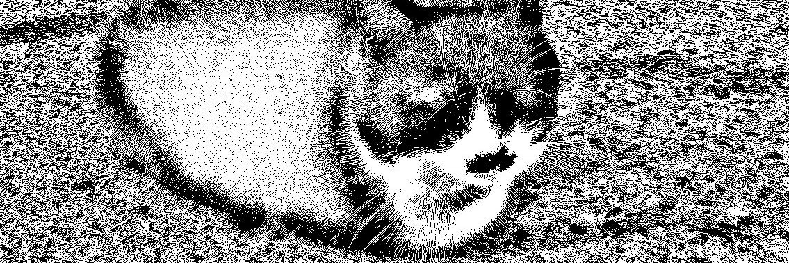 佐藤圭右🍉 banner