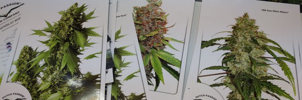 InternetTimeM Profile Banner