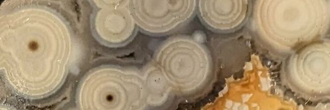 KubusRubus's profile banner image