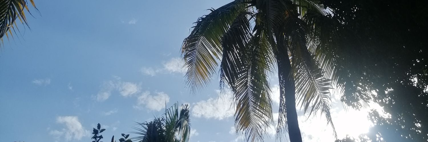 andreafld's profile banner image