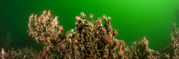 HWSciDivers Profile Banner