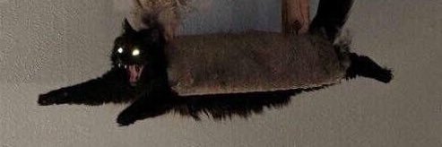 Caldis_Chen's profile banner image