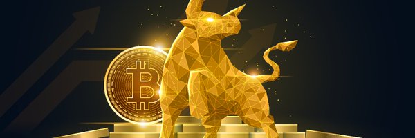 krypto_pln Profile Banner
