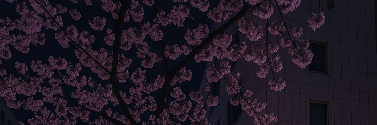 xojonah's profile banner image