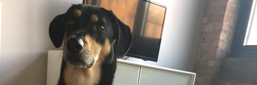 MARCUS365's profile banner image