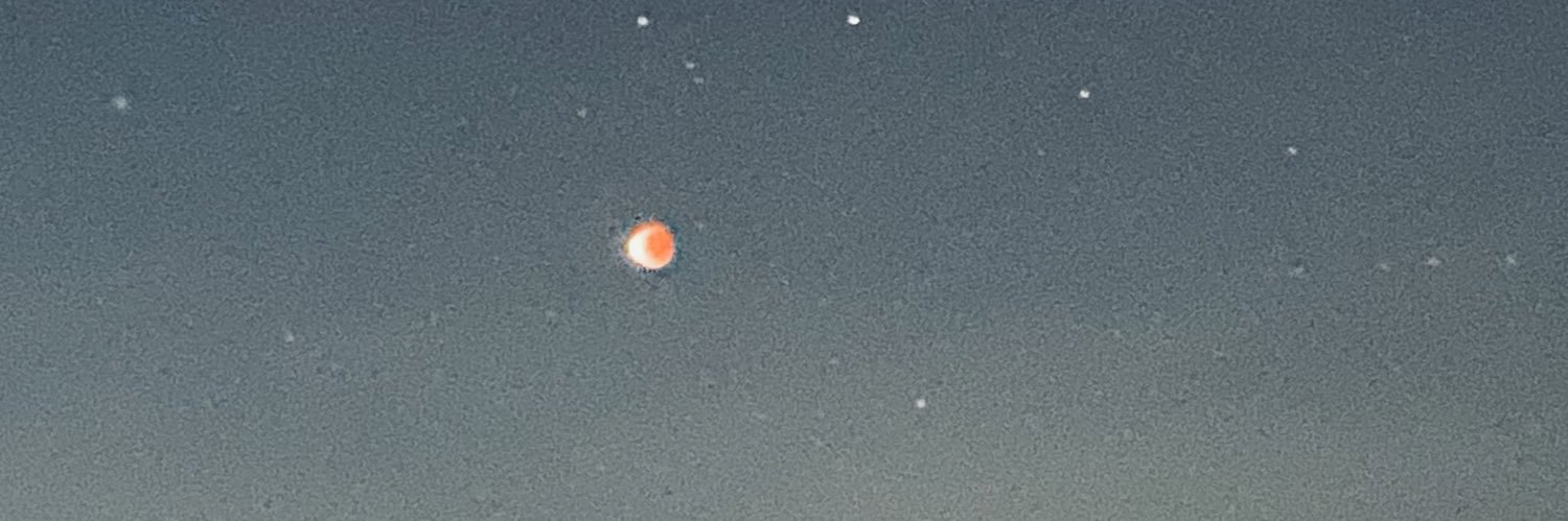 TheMarketHacker's profile banner image