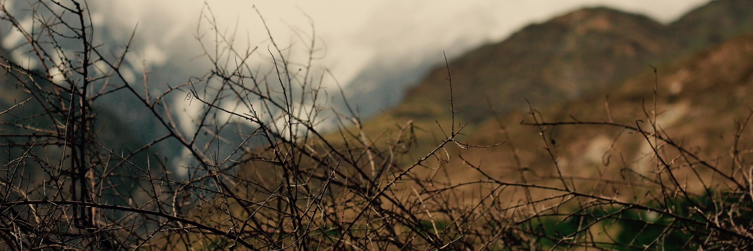 Syed_Ali_Hasan's profile banner image