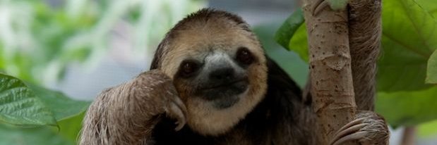 cuco_210's profile banner image
