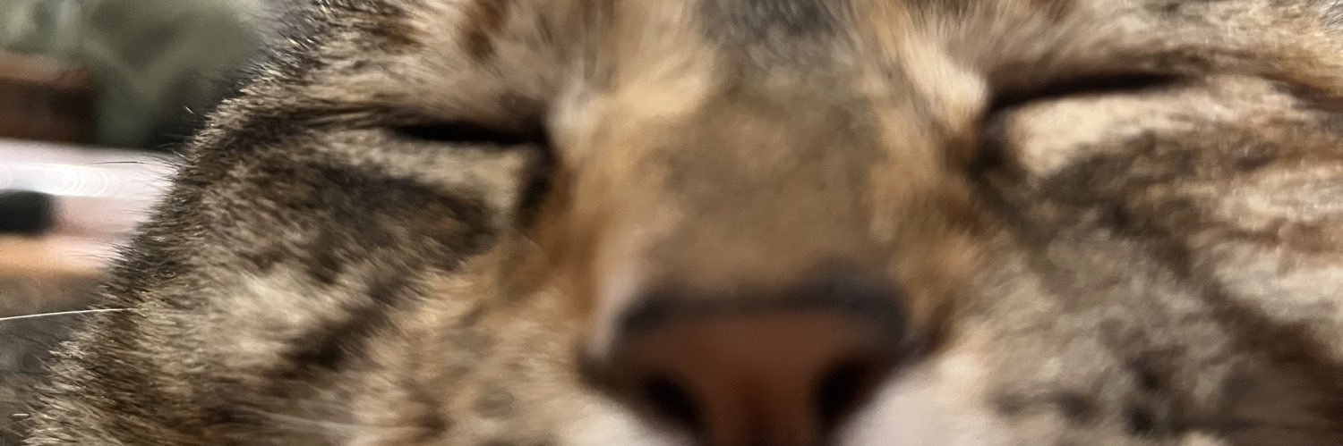 bangs_larue's profile banner image