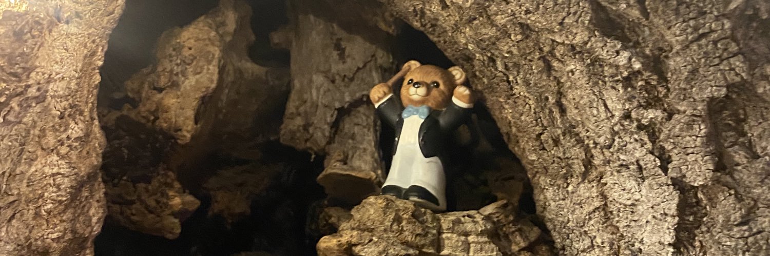 amaliaruth_'s profile banner image