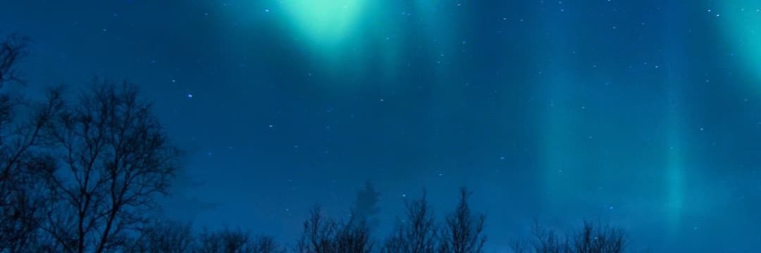 Nebula_Zebula's profile banner image
