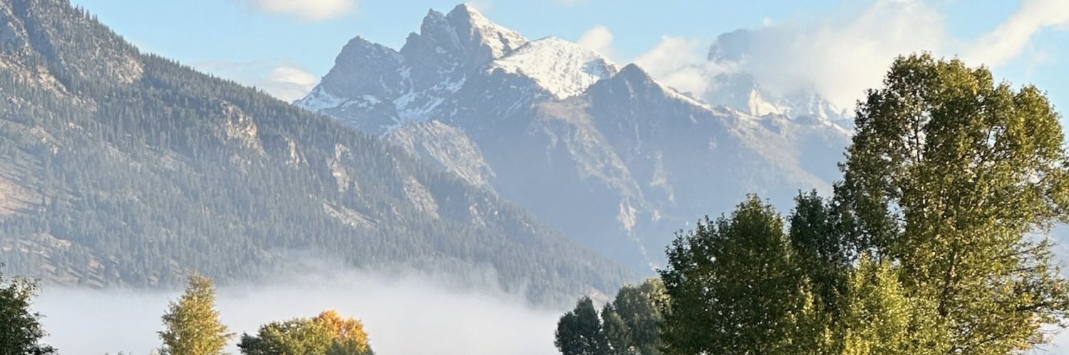 daniel singer banner