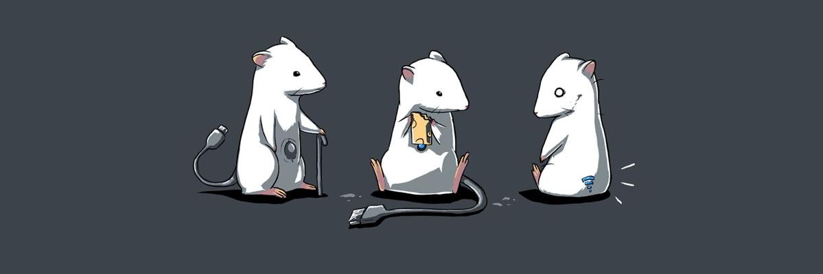 bwuuk's profile banner image
