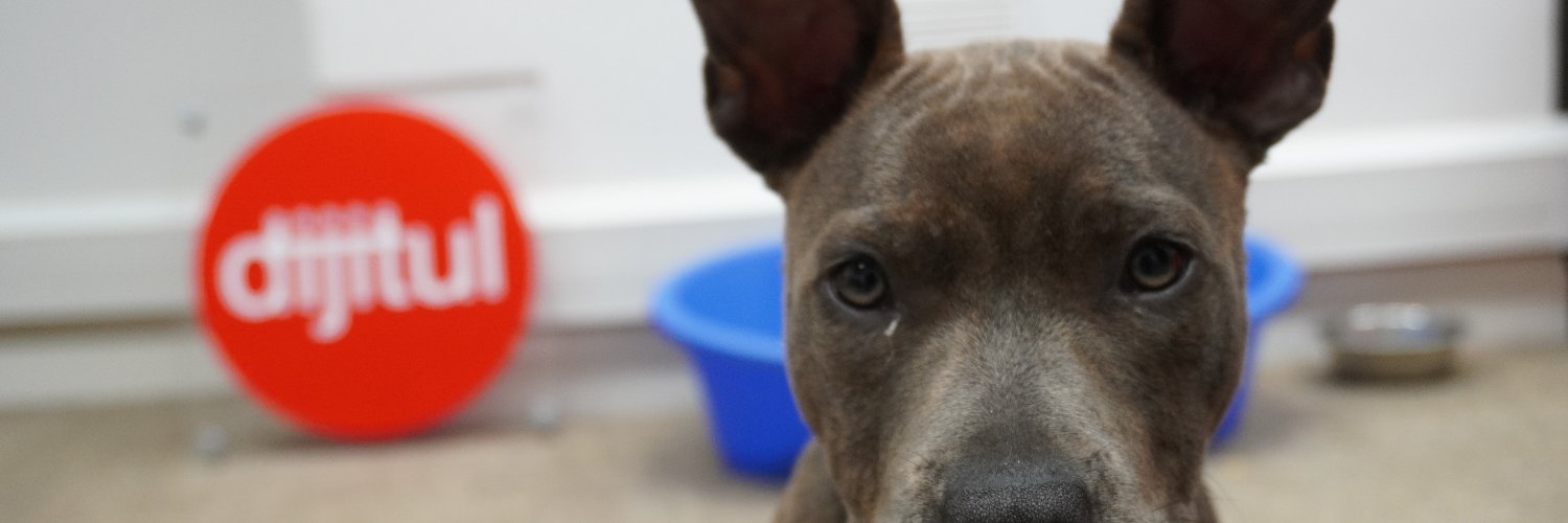 dijitul's profile banner image