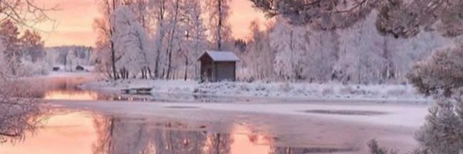 Jeri Anderson 🇺🇸 banner