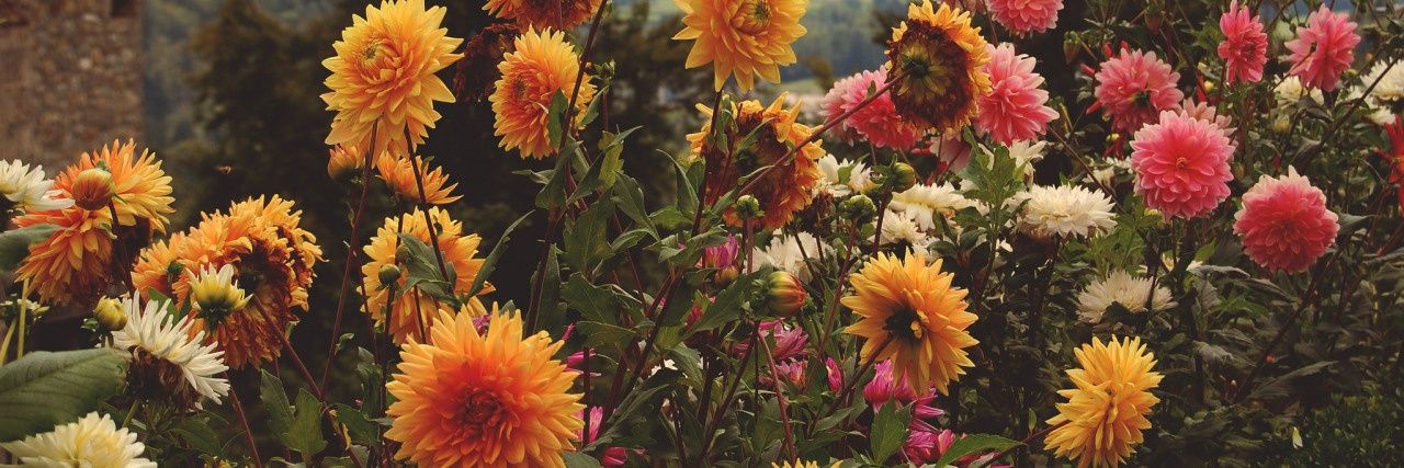 maferg75's profile banner image