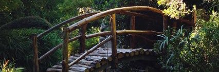 Mayraduchen's profile banner image