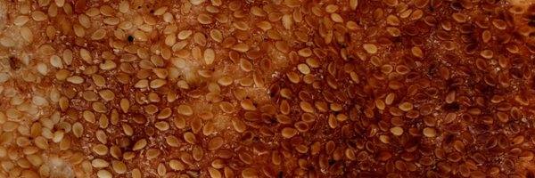 SoumayaKeynes Profile Banner