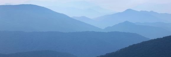 tay_bowman93's profile banner image