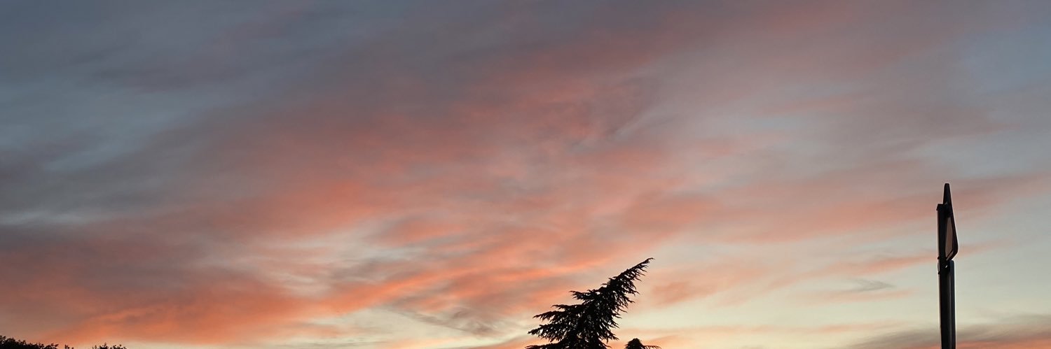 laaucs08's profile banner image