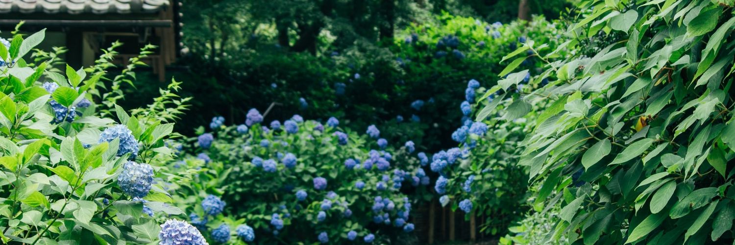🌿 banner