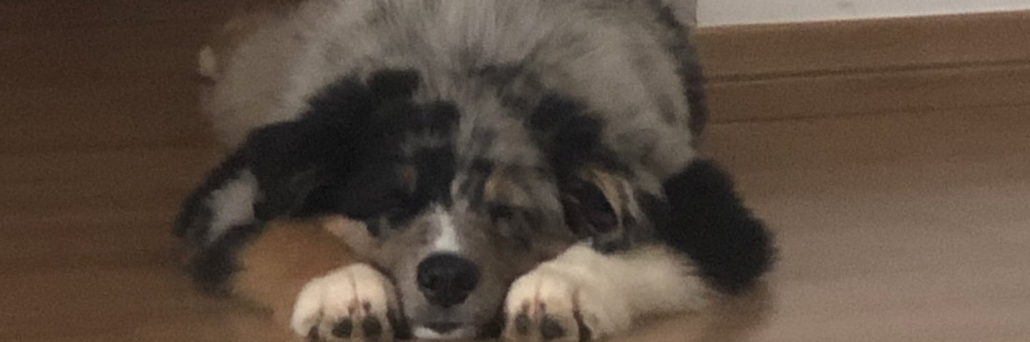 lohanabs's profile banner image