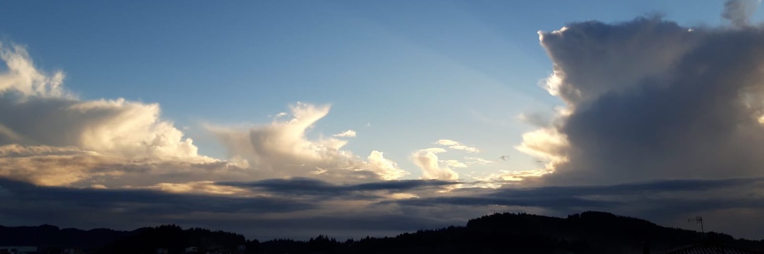 martamaideu's profile banner image