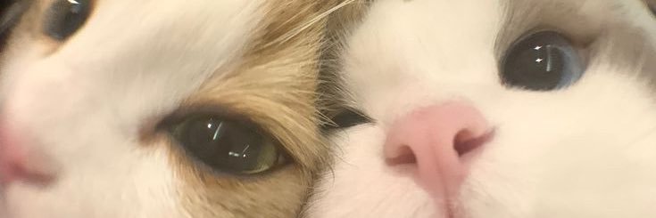 Natthq's profile banner image